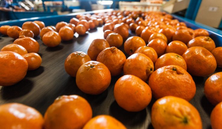 倉庫や工場の防虫対策！異物混入の原因にもなる虫の侵入を防ぐ方法